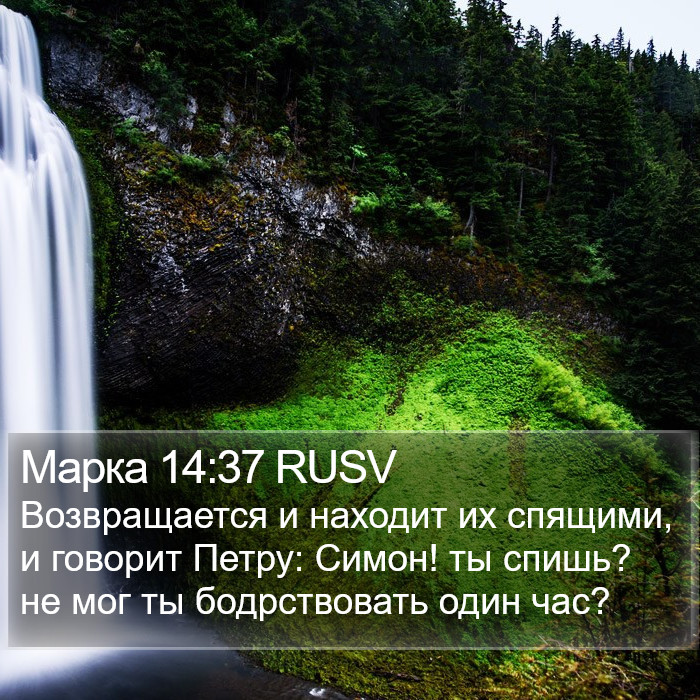 Марка 14:37 RUSV Bible Study