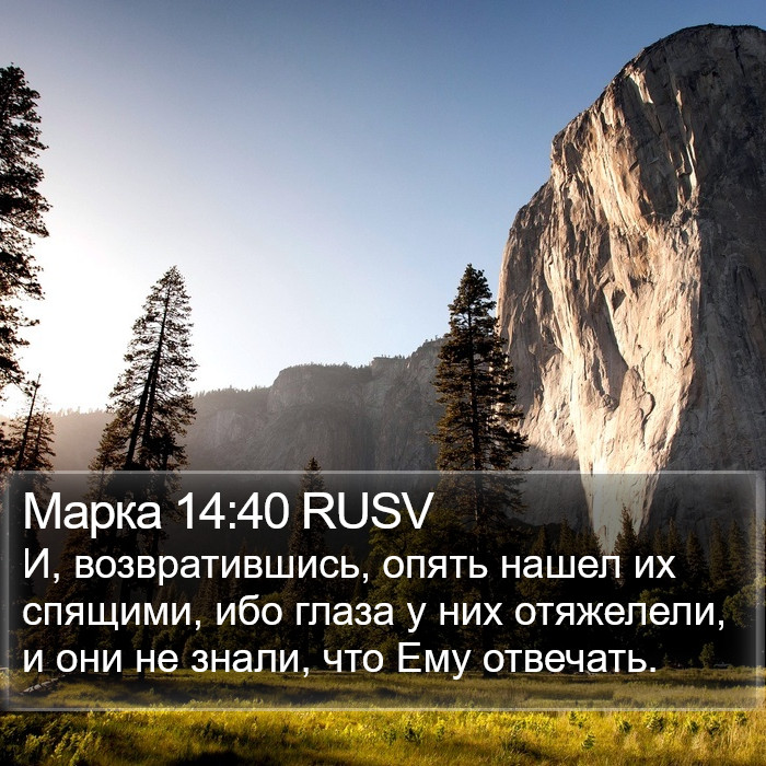 Марка 14:40 RUSV Bible Study