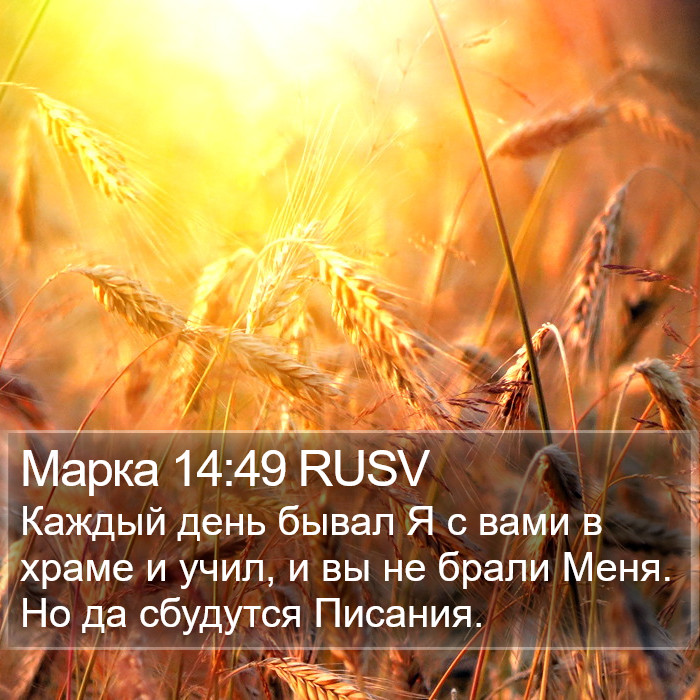 Марка 14:49 RUSV Bible Study