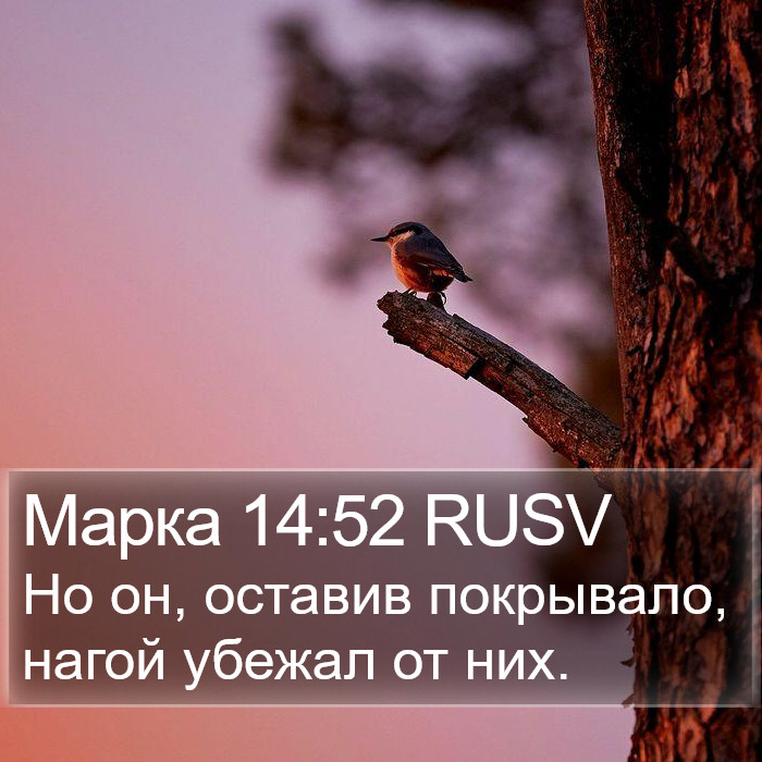 Марка 14:52 RUSV Bible Study