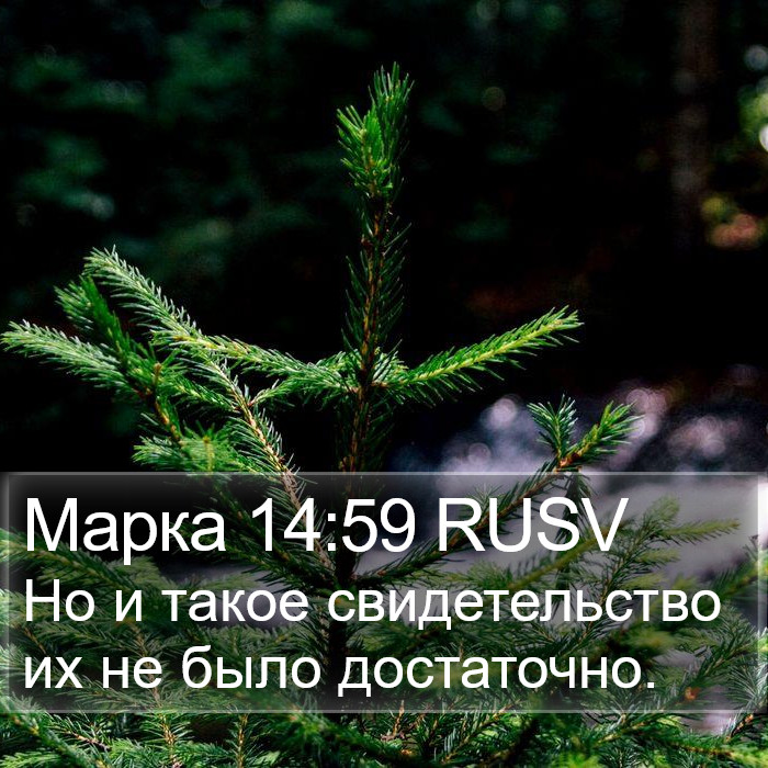 Марка 14:59 RUSV Bible Study