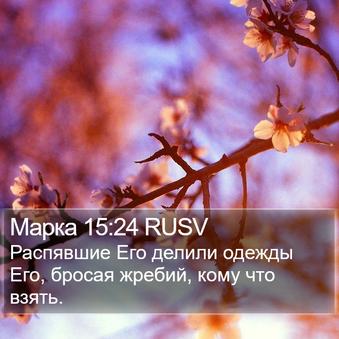 Марка 15:24 RUSV Bible Study