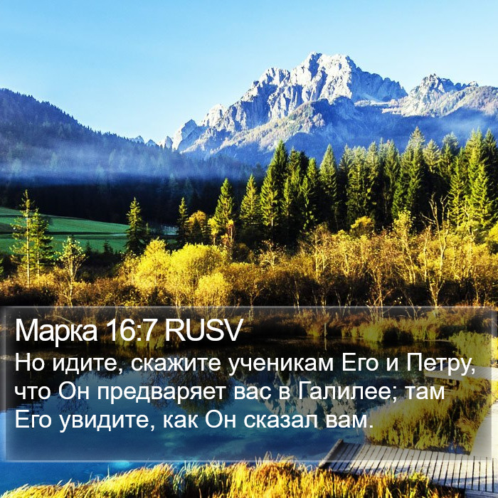 Марка 16:7 RUSV Bible Study