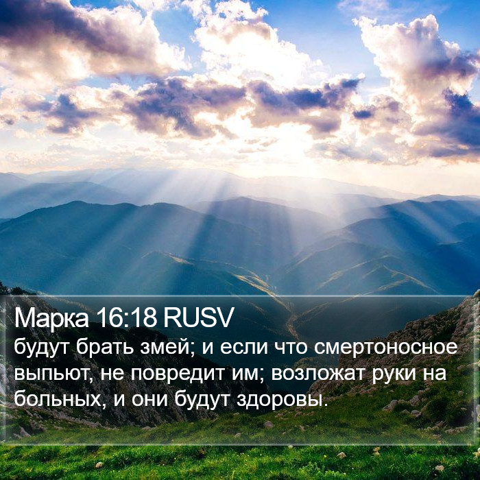 Марка 16:18 RUSV Bible Study