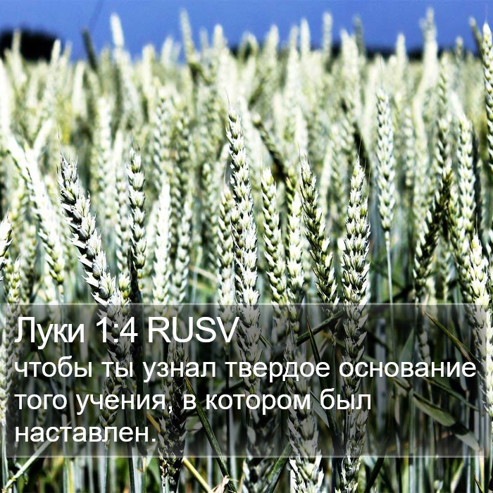 Луки 1:4 RUSV Bible Study