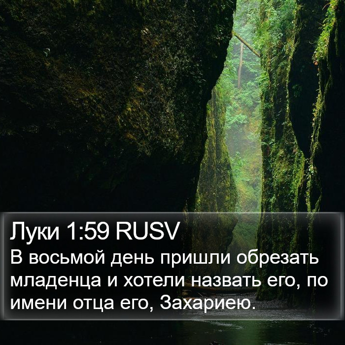 Луки 1:59 RUSV Bible Study