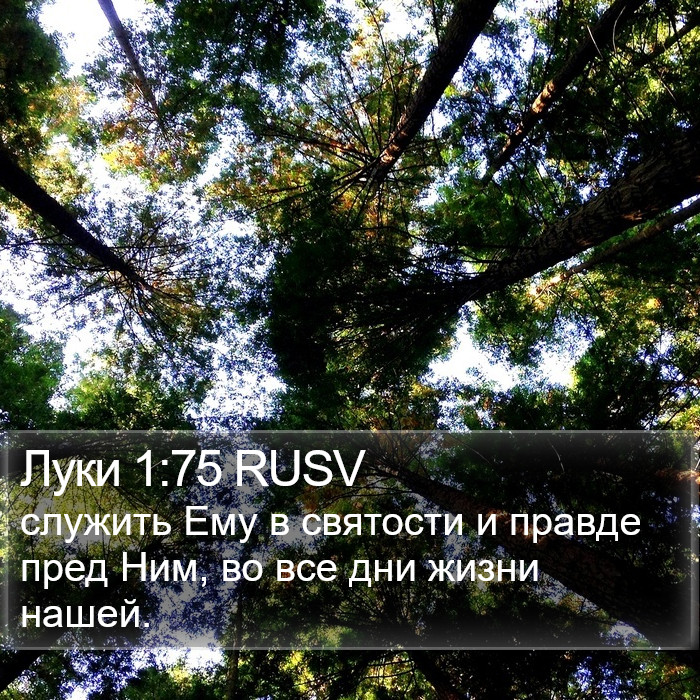 Луки 1:75 RUSV Bible Study