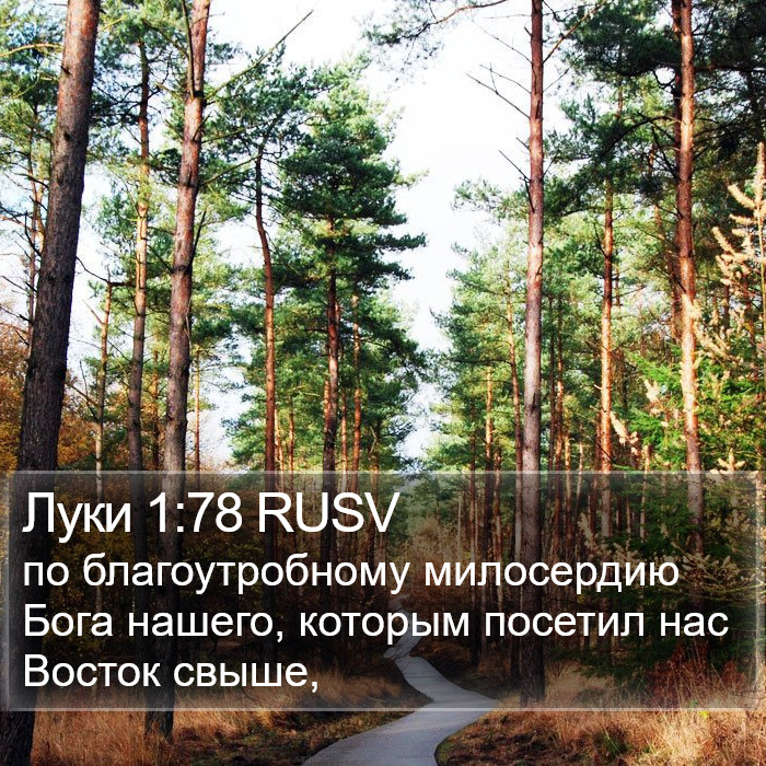 Луки 1:78 RUSV Bible Study