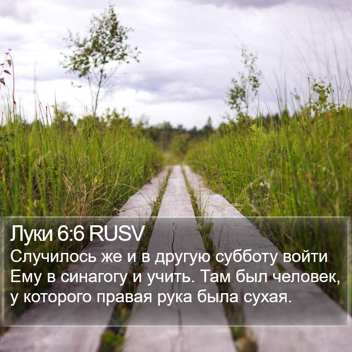 Луки 6:6 RUSV Bible Study