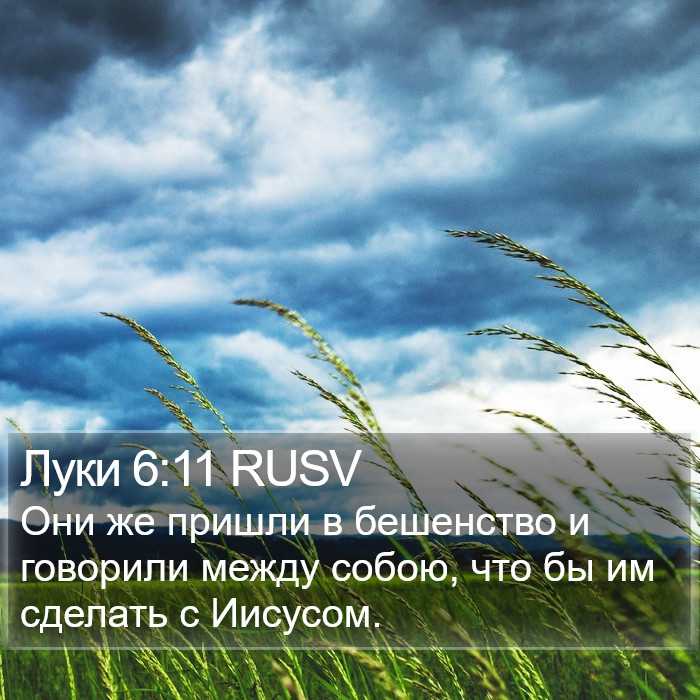 Луки 6:11 RUSV Bible Study