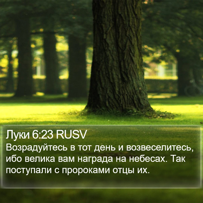 Луки 6:23 RUSV Bible Study