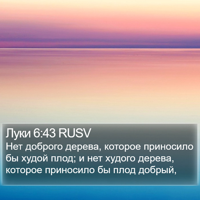 Луки 6:43 RUSV Bible Study