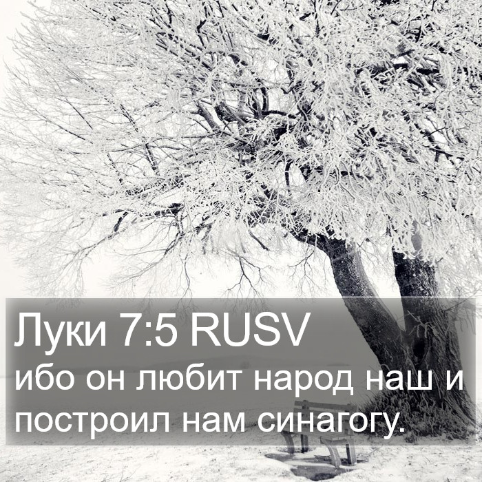 Луки 7:5 RUSV Bible Study