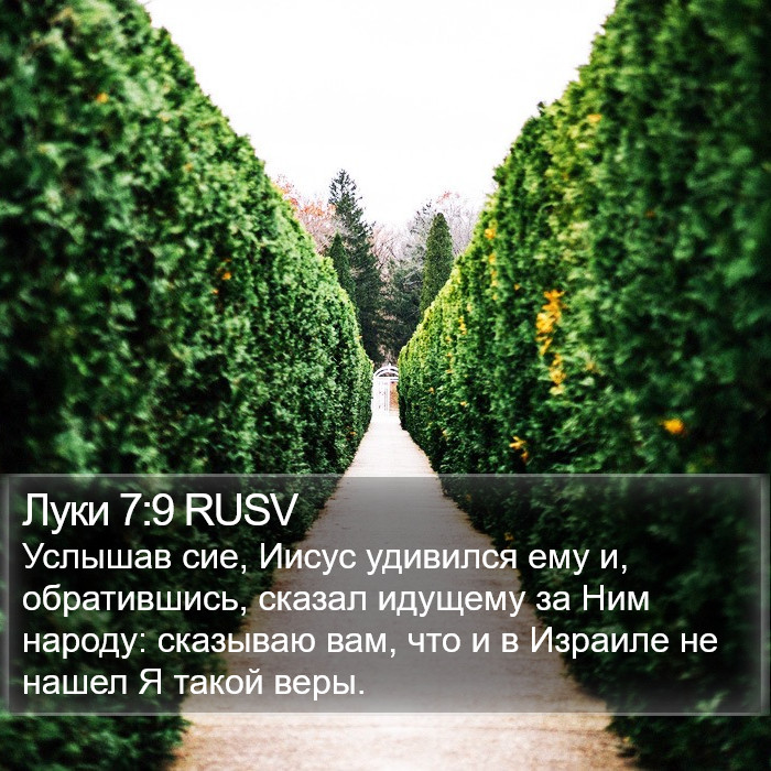 Луки 7:9 RUSV Bible Study