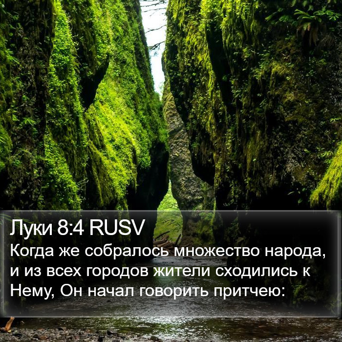 Луки 8:4 RUSV Bible Study