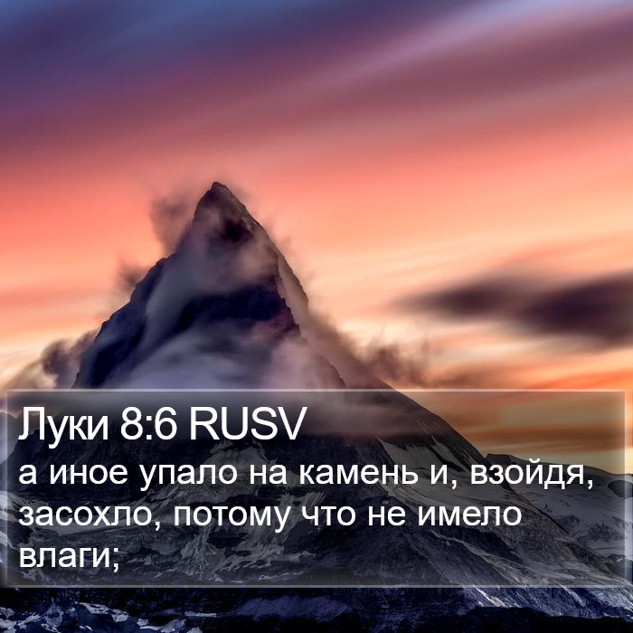 Луки 8:6 RUSV Bible Study