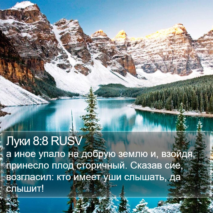 Луки 8:8 RUSV Bible Study