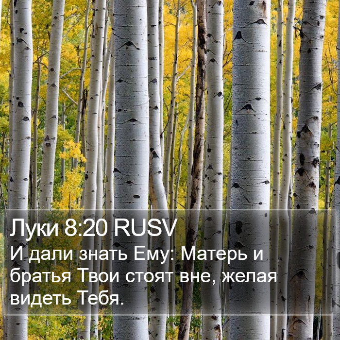 Луки 8:20 RUSV Bible Study