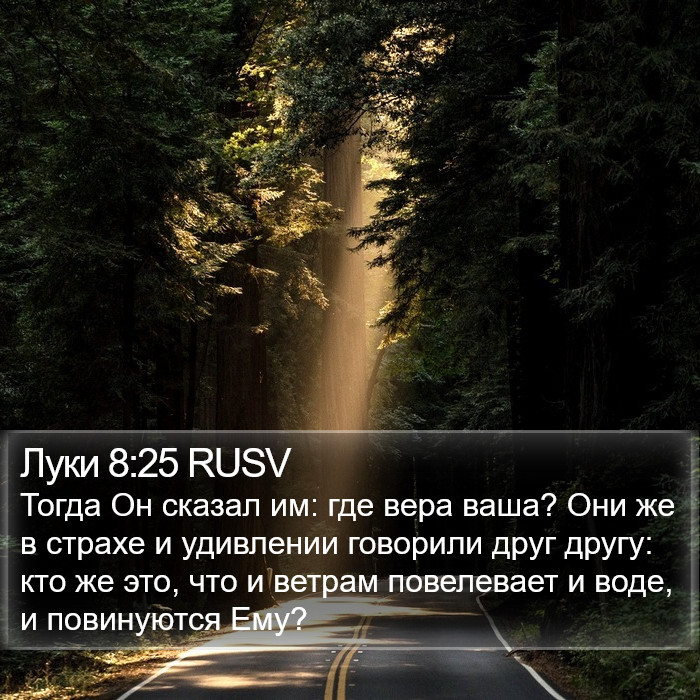 Луки 8:25 RUSV Bible Study