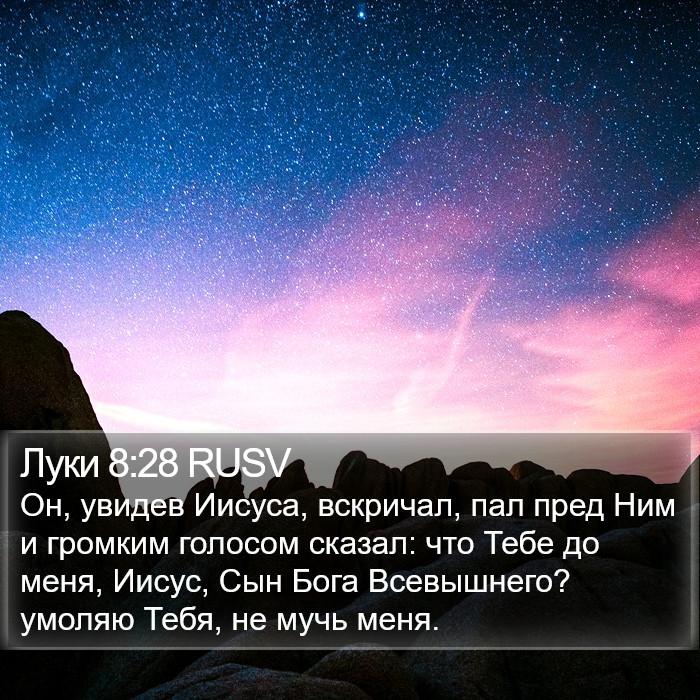 Луки 8:28 RUSV Bible Study