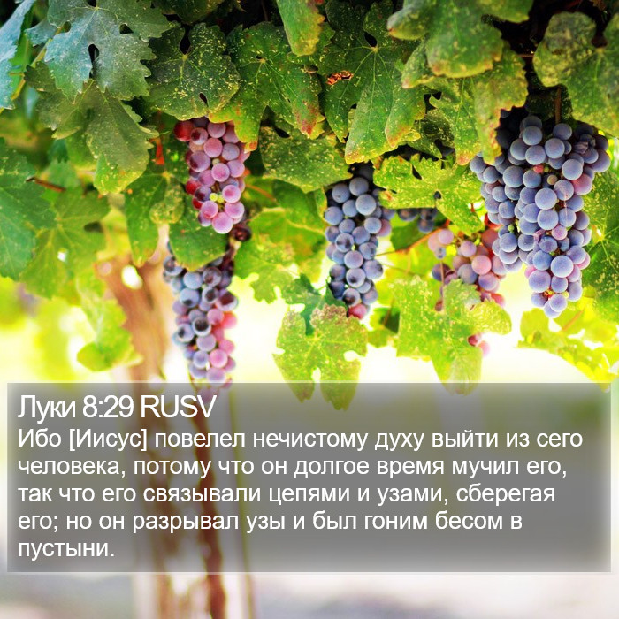 Луки 8:29 RUSV Bible Study