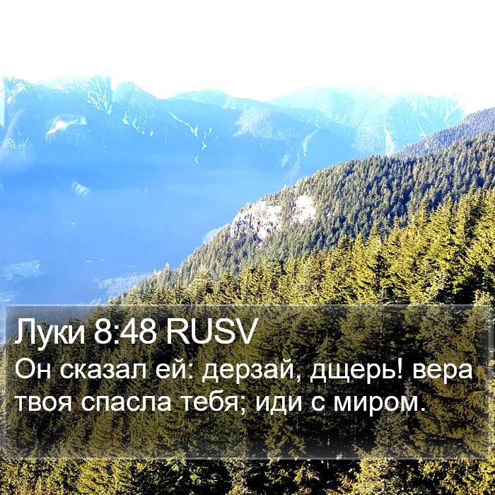 Луки 8:48 RUSV Bible Study