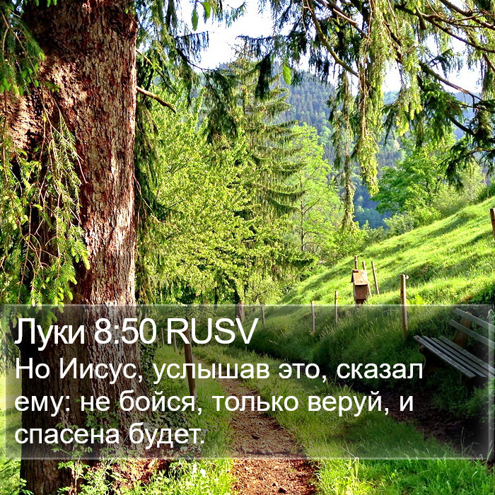 Луки 8:50 RUSV Bible Study