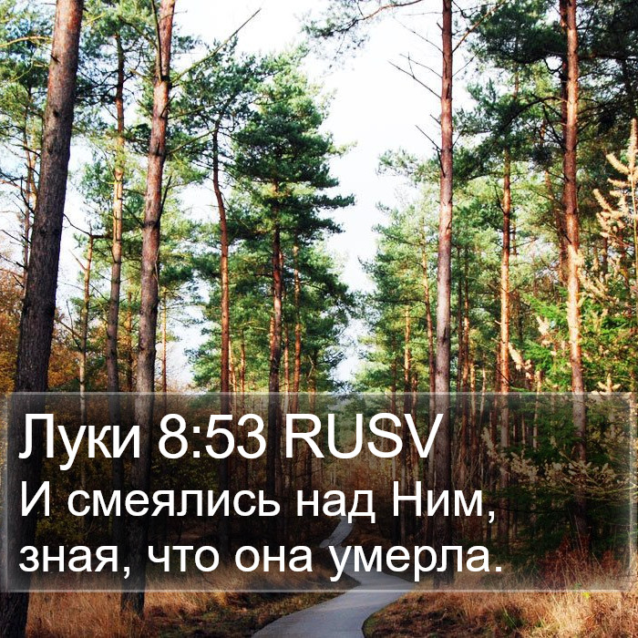 Луки 8:53 RUSV Bible Study