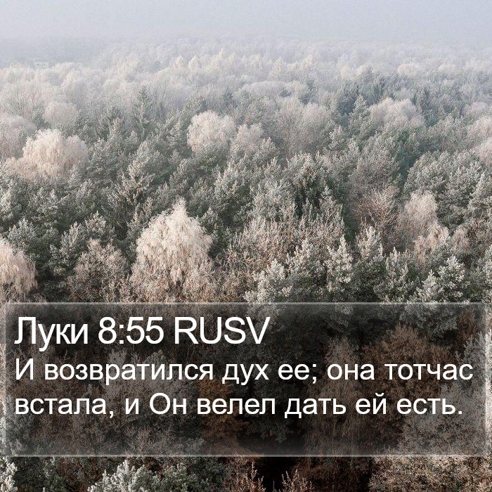 Луки 8:55 RUSV Bible Study