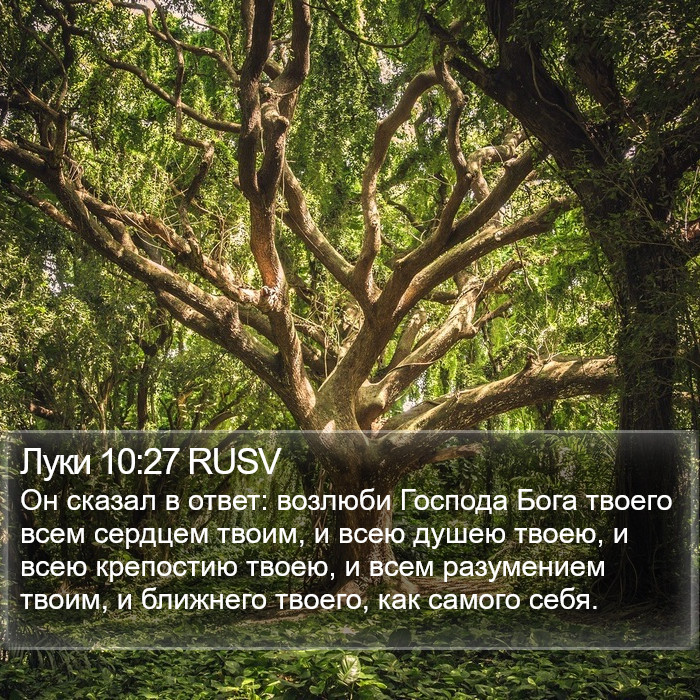 Луки 10:27 RUSV Bible Study