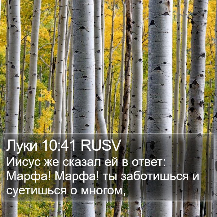 Луки 10:41 RUSV Bible Study