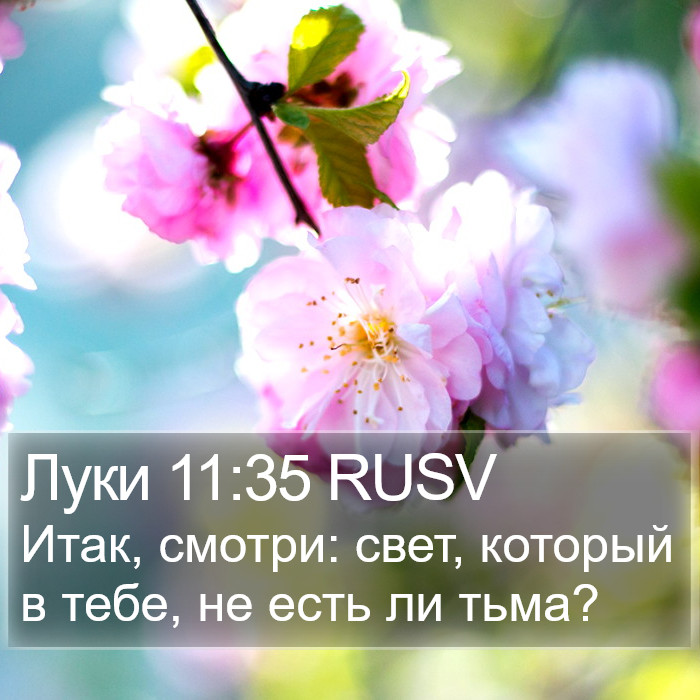 Луки 11:35 RUSV Bible Study