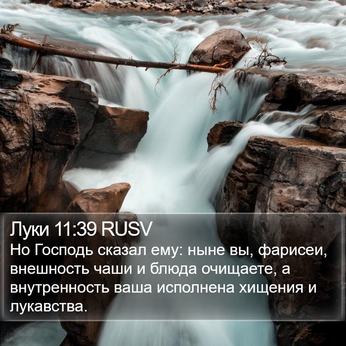 Луки 11:39 RUSV Bible Study