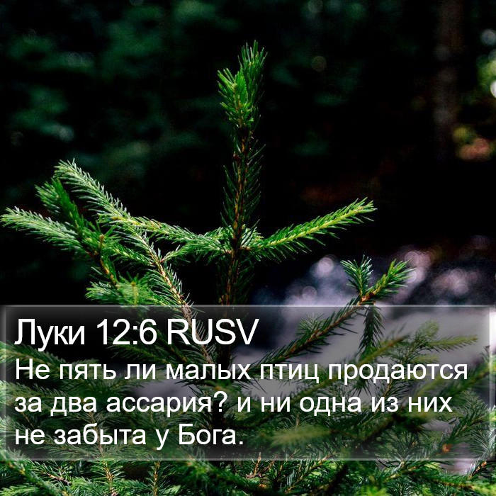 Луки 12:6 RUSV Bible Study