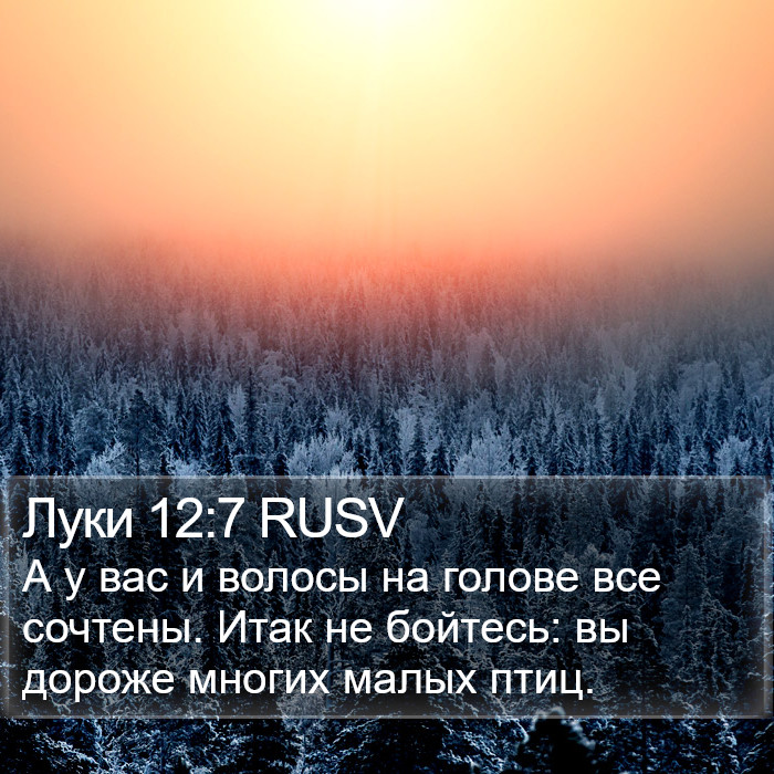 Луки 12:7 RUSV Bible Study