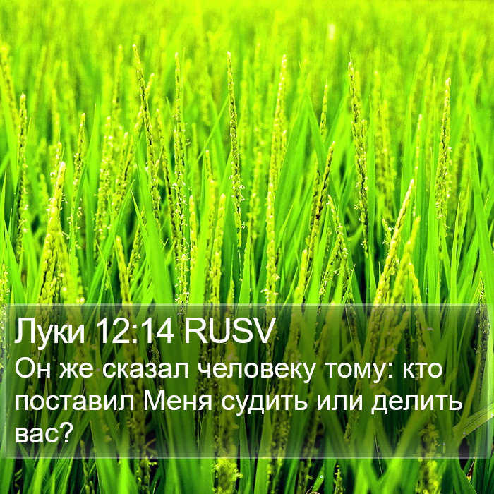 Луки 12:14 RUSV Bible Study