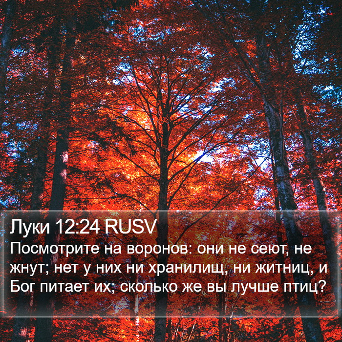 Луки 12:24 RUSV Bible Study