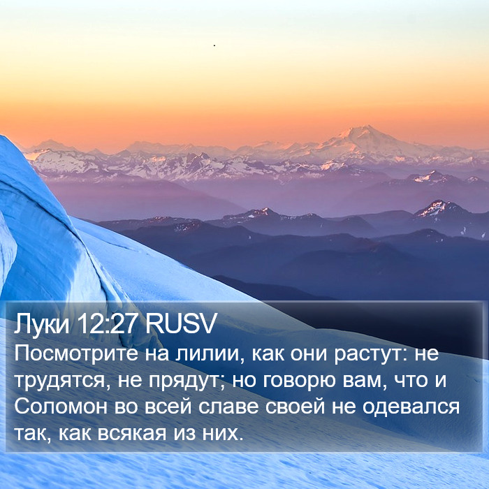 Луки 12:27 RUSV Bible Study