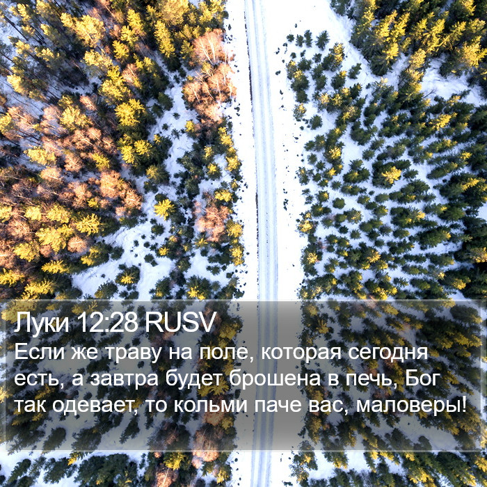 Луки 12:28 RUSV Bible Study