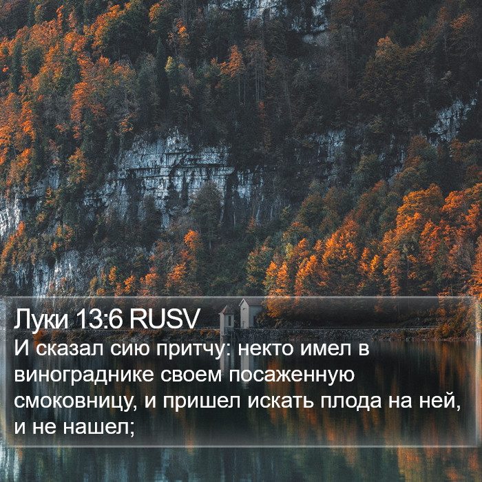 Луки 13:6 RUSV Bible Study