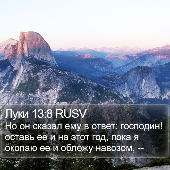 Луки 13:8 RUSV Bible Study