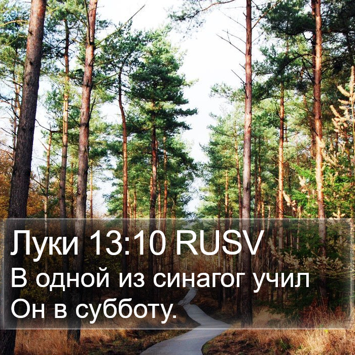 Луки 13:10 RUSV Bible Study