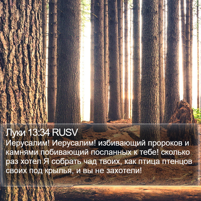 Луки 13:34 RUSV Bible Study