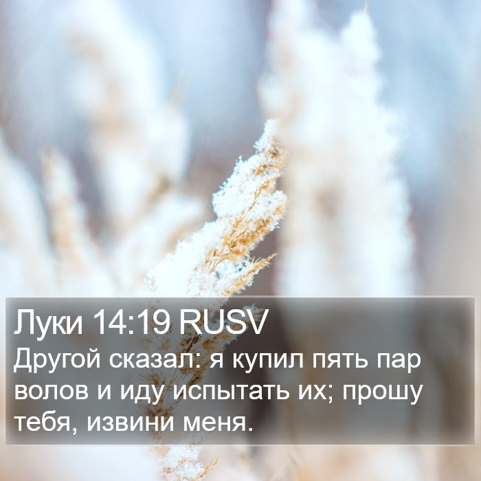 Луки 14:19 RUSV Bible Study