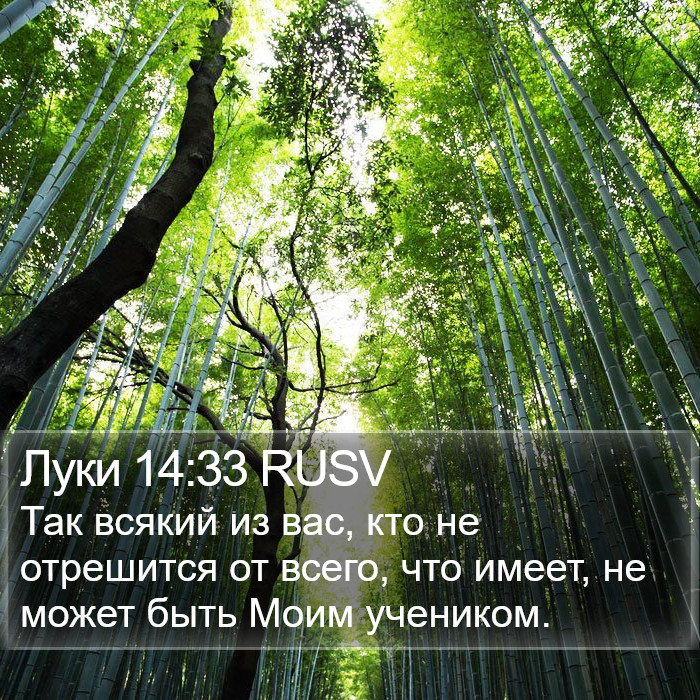 Луки 14:33 RUSV Bible Study