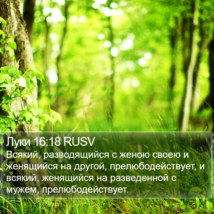 Луки 16:18 RUSV Bible Study