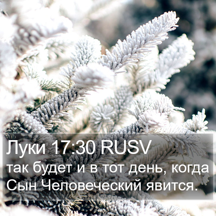 Луки 17:30 RUSV Bible Study