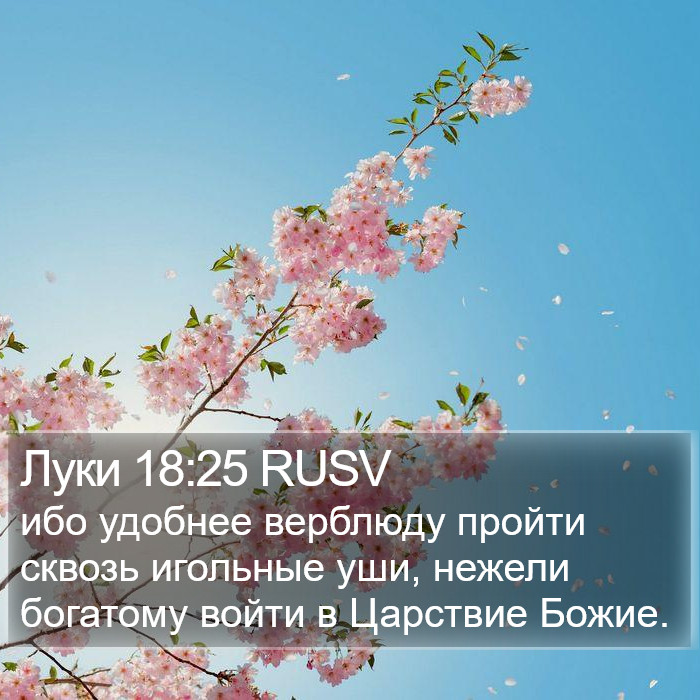 Луки 18:25 RUSV Bible Study