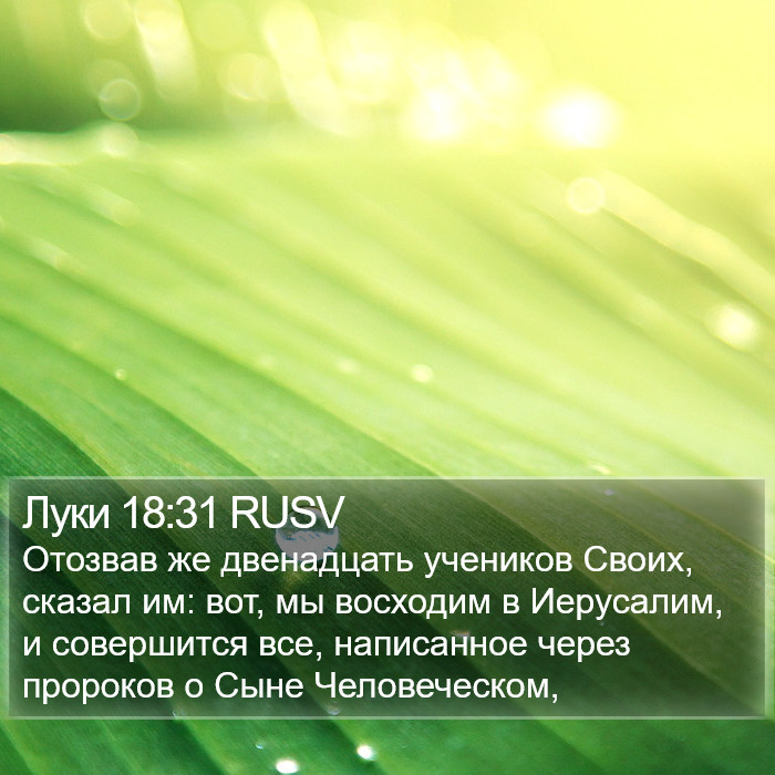 Луки 18:31 RUSV Bible Study