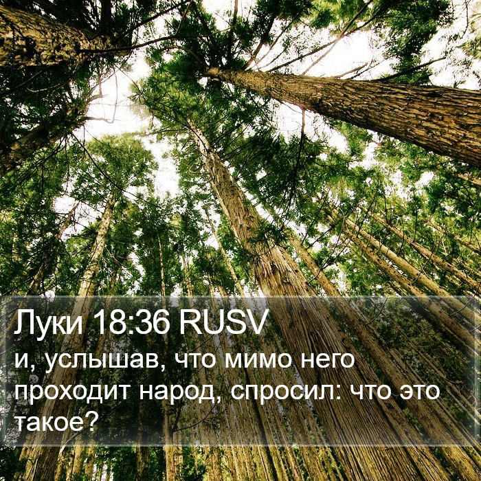 Луки 18:36 RUSV Bible Study